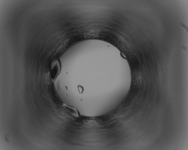 X0000093090224200710171145