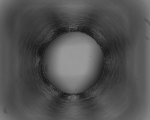 X0000093090225200710171145