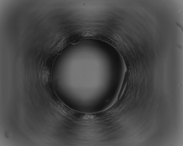X0000093090227200710171145