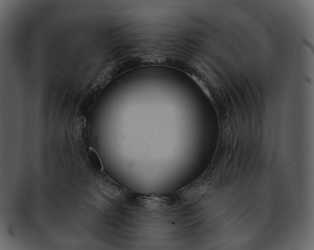 X0000093090229200710171145