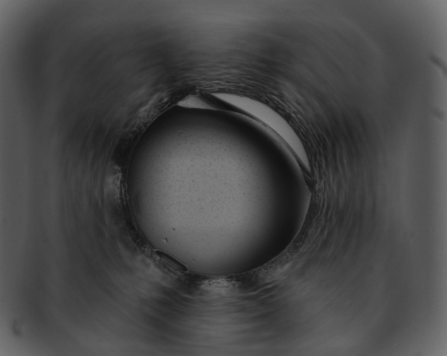 X0000093090231200710171145