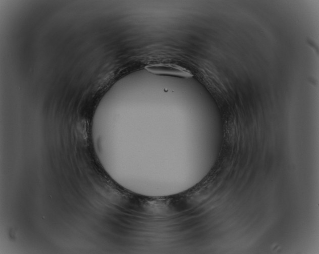 X0000093090232200710171145