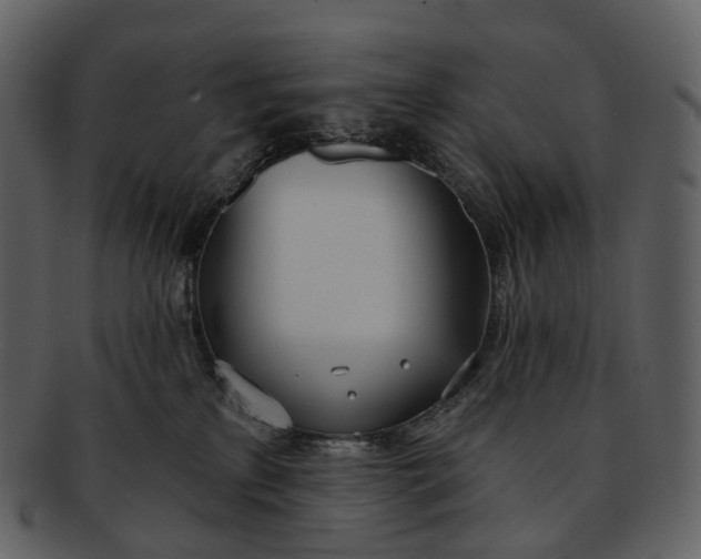 X0000093090233200710171145