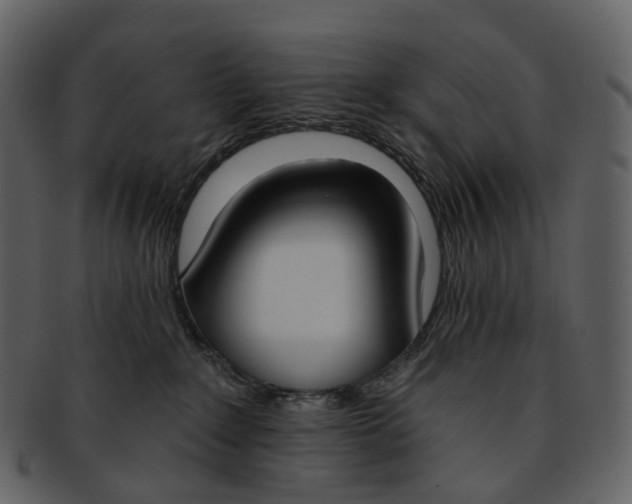 X0000093090235200710171145