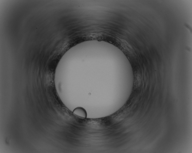 X0000093090236200710171145