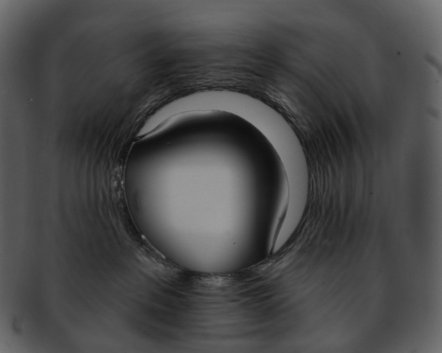 X0000093090237200710171145