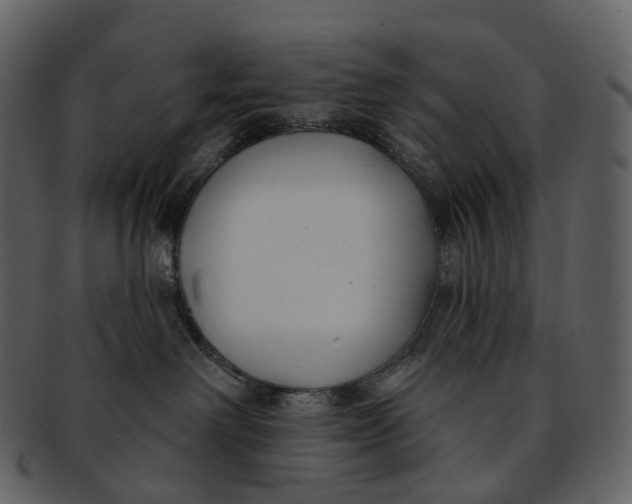 X0000093090238200710171145