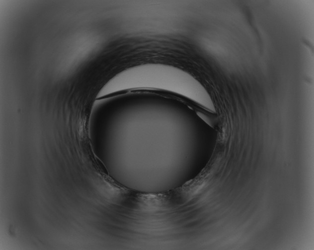 X0000093090239200710171145