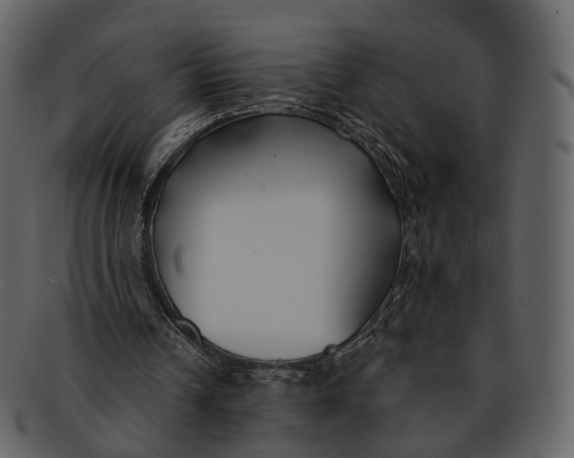 X0000093090242200710171144