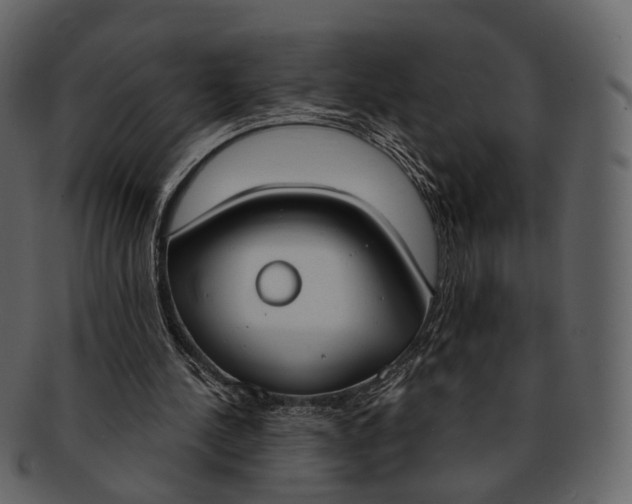 X0000093090244200710171144