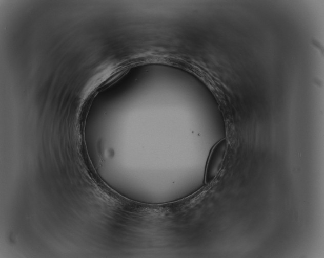 X0000093090245200710171144