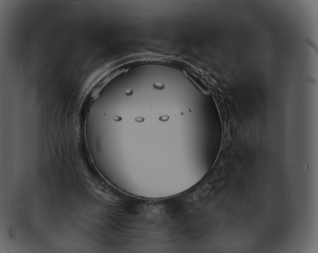 X0000093090247200710171144