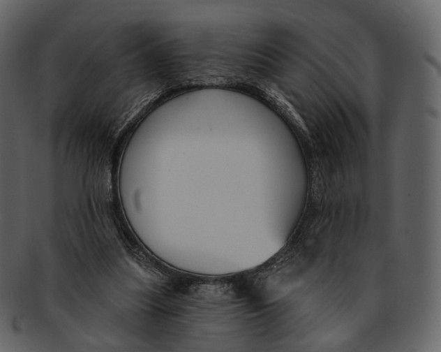 X0000093090251200710171144
