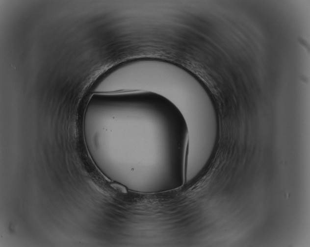 X0000093090252200710171144