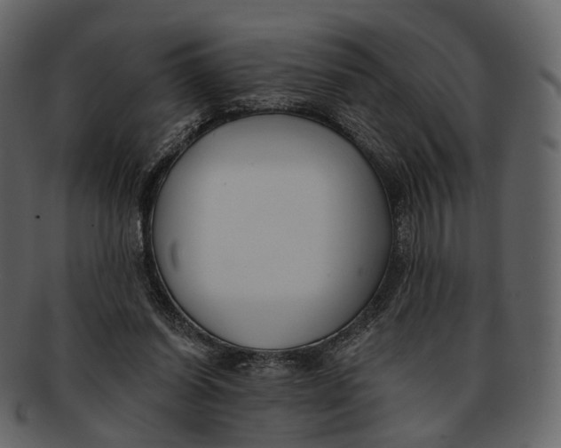 X0000093090254200710171144
