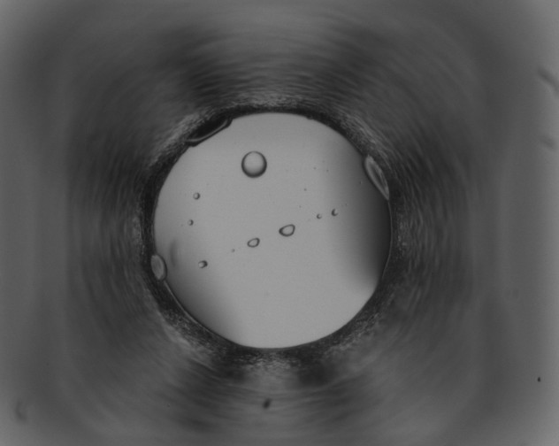 X0000093090256200710171144