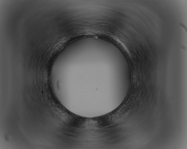 X0000093090257200710171144