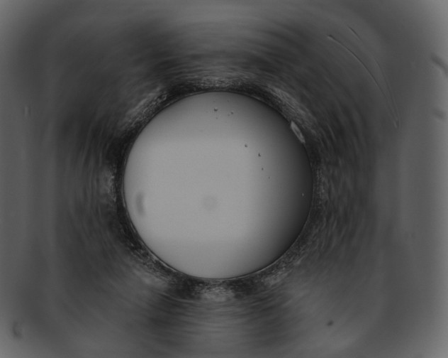 X0000093090258200710171144