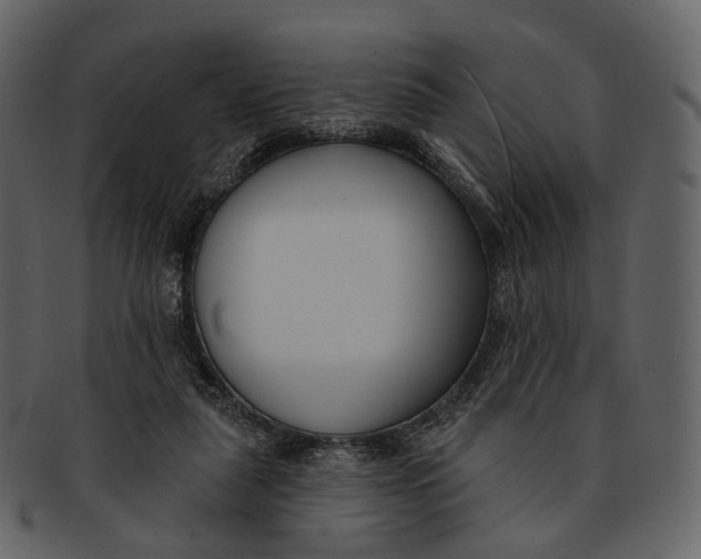 X0000093090259200710171144