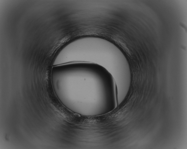 X0000093090260200710171144