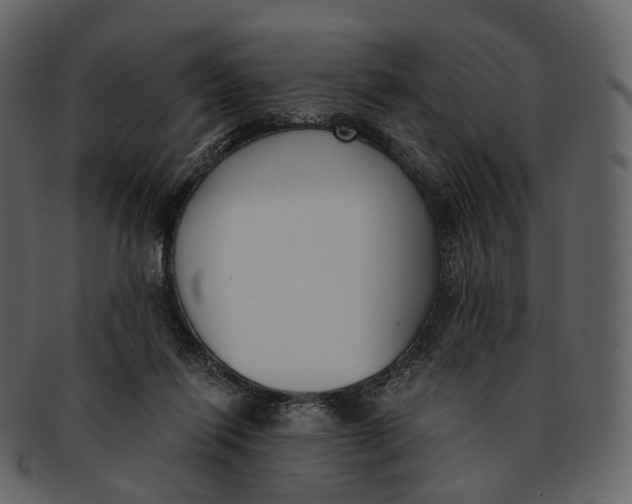 X0000093090262200710171144