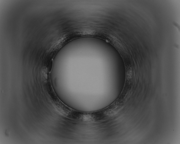 X0000093090264200710171144