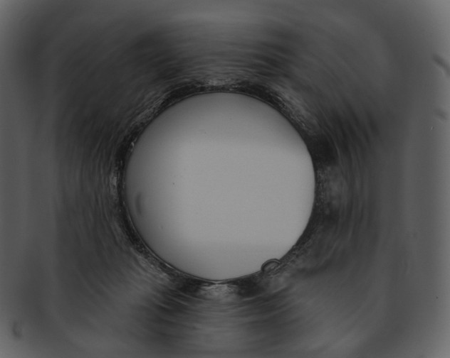 X0000093090269200710171145