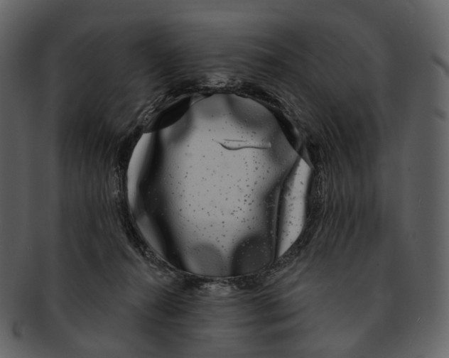 X0000093090272200710171145