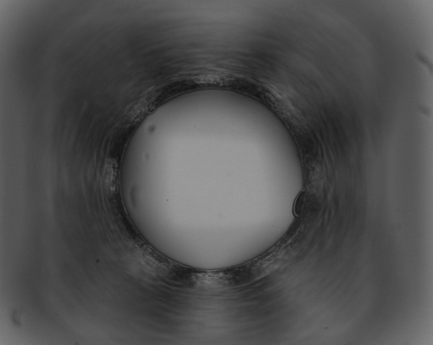 X0000093090273200710171145