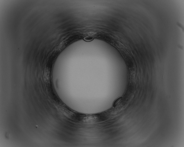 X0000093090274200710171145