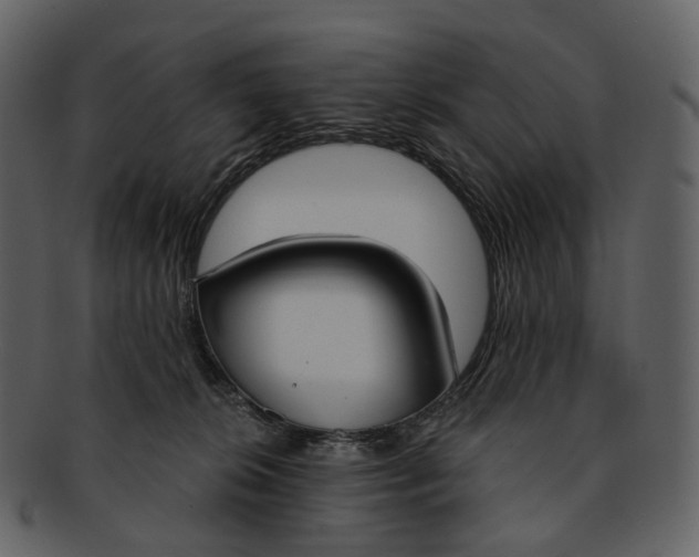 X0000093090276200710171145