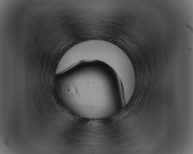 X0000093090280200710171145