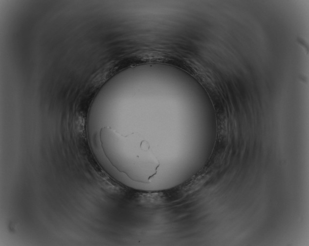 X0000093090281200710171145