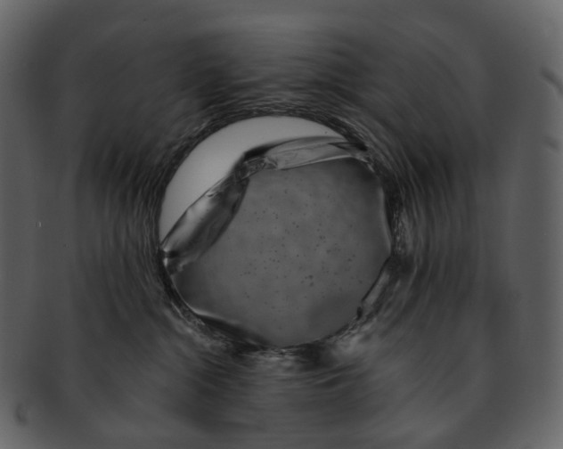 X0000093090284200710171145