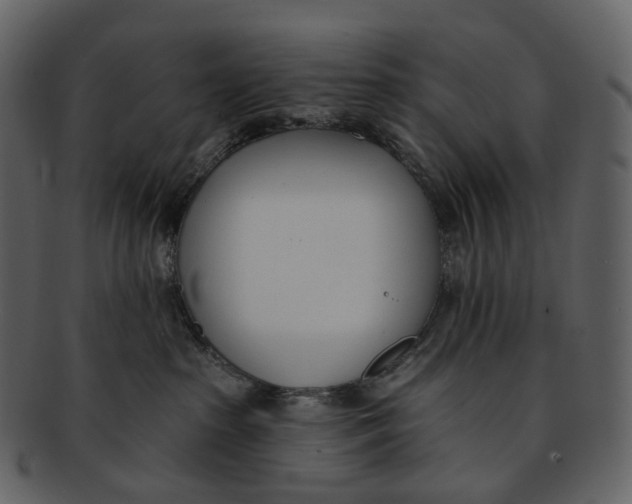 X0000093090285200710171145