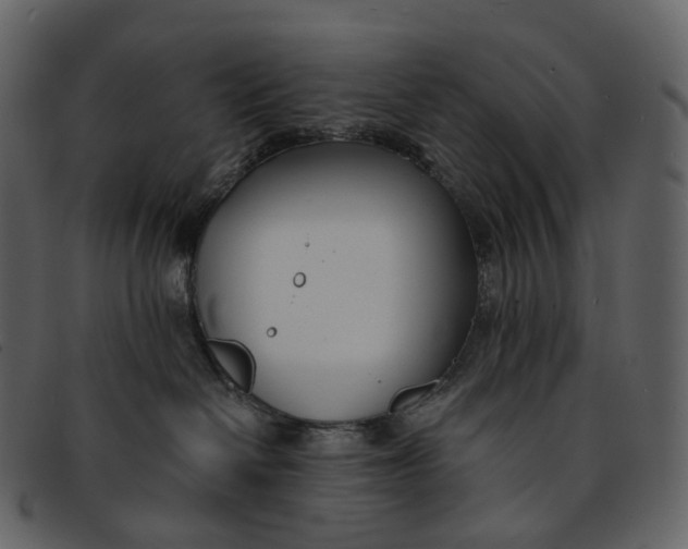 X0000093090286200710171145