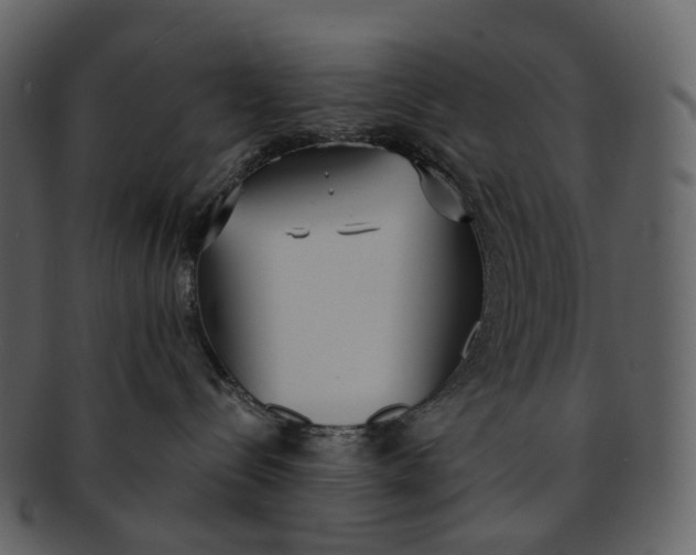 X0000093090288200710171145