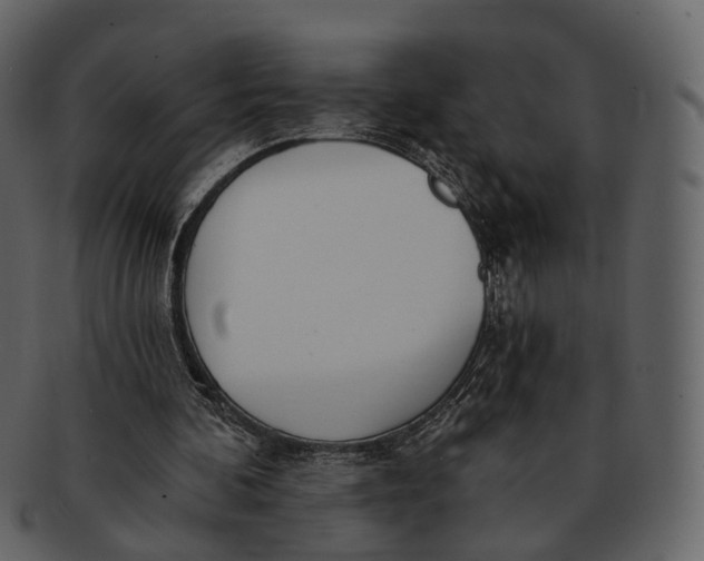 X0000093090292200710171144
