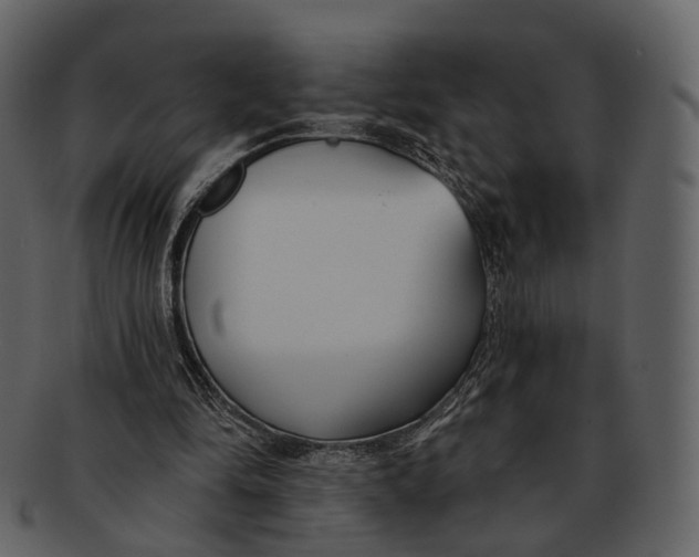 X0000093090294200710171144