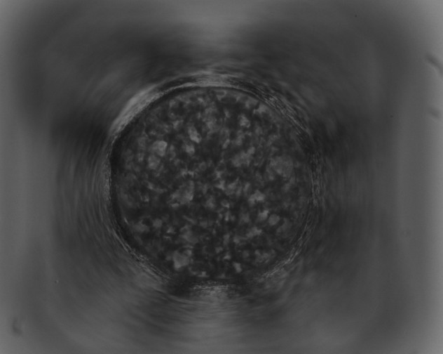 X0000093090295200710171144