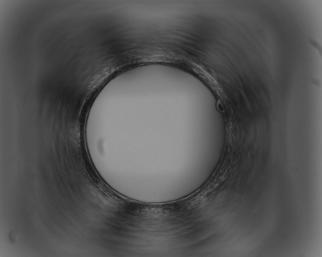 X0000093090298200710171144