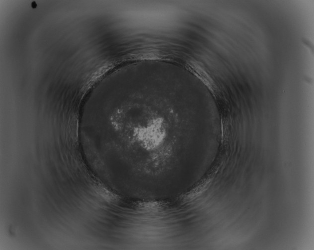 X0000093090301200710171144