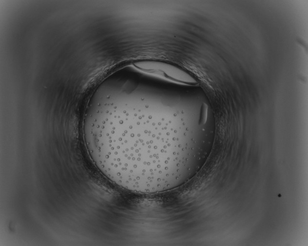 X0000093090303200710171144