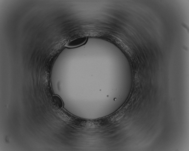 X0000093090305200710171144