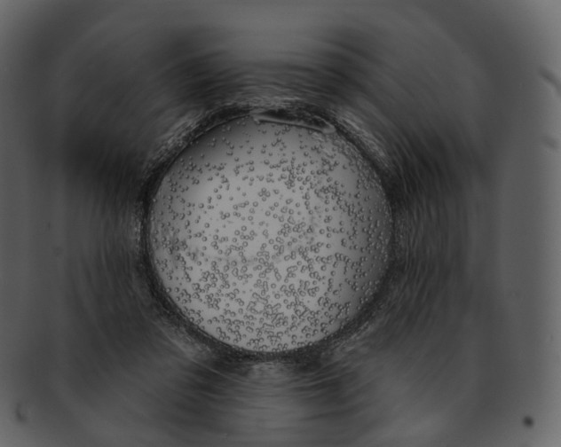X0000093090309200710171144