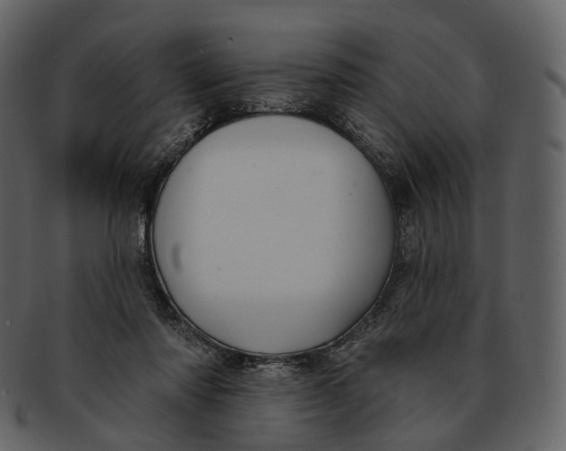 X0000093090310200710171144