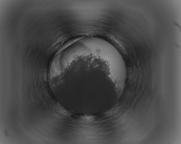 X0000093090313200710171144
