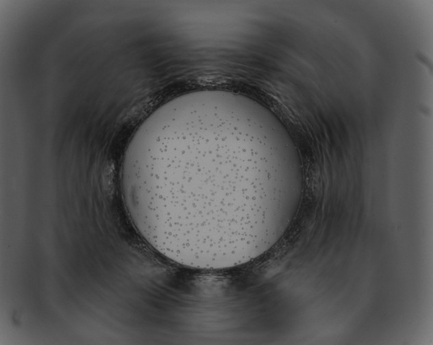 X0000093090319200710171143