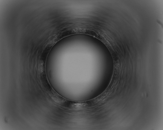 X0000093090323200710171143