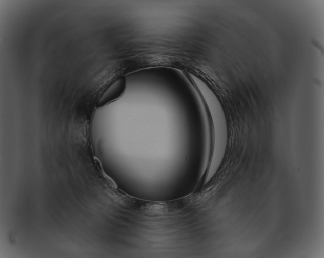 X0000093090325200710171143